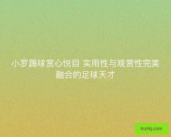 小罗踢球赏心悦目 实用性与观赏性完美融合的足球天才
